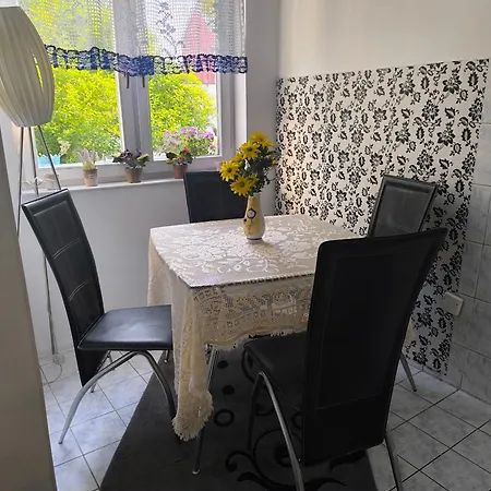 Dzejla * サラエヴォ