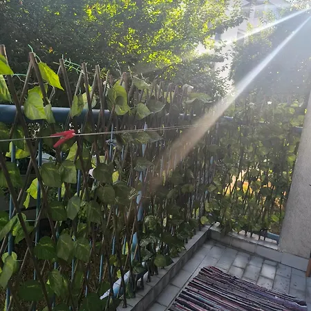 Dzejla Apartman Szarajevó